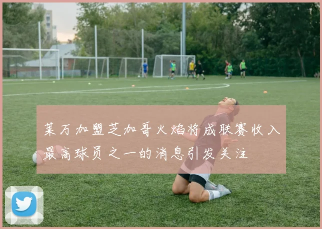 莱万加盟芝加哥火焰将成联赛收入最高球员之一的消息引发关注